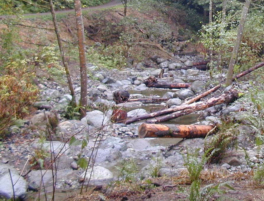 Trees for Streams workshop on May 15
