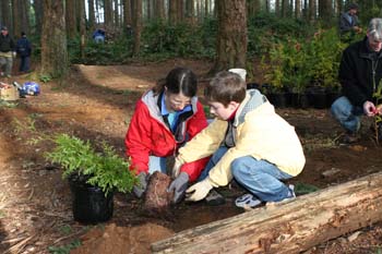 Saving the Juanita Woodlands