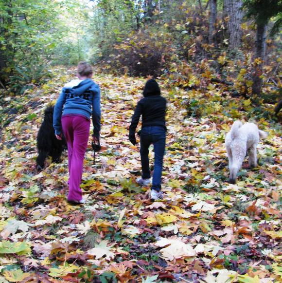 Finn Hill Trail Mapping and Signage