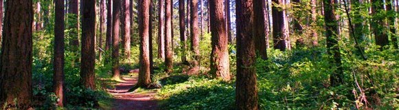 All things Finn Hill in August & September (so far)