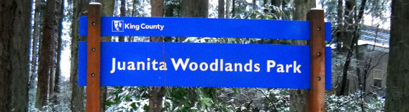 Log Blog: Summer 2013