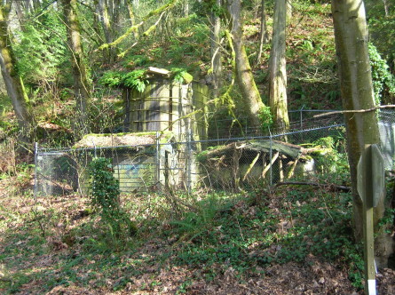 Old wooden water tank and associated flotsam along Holmes Point Drive.