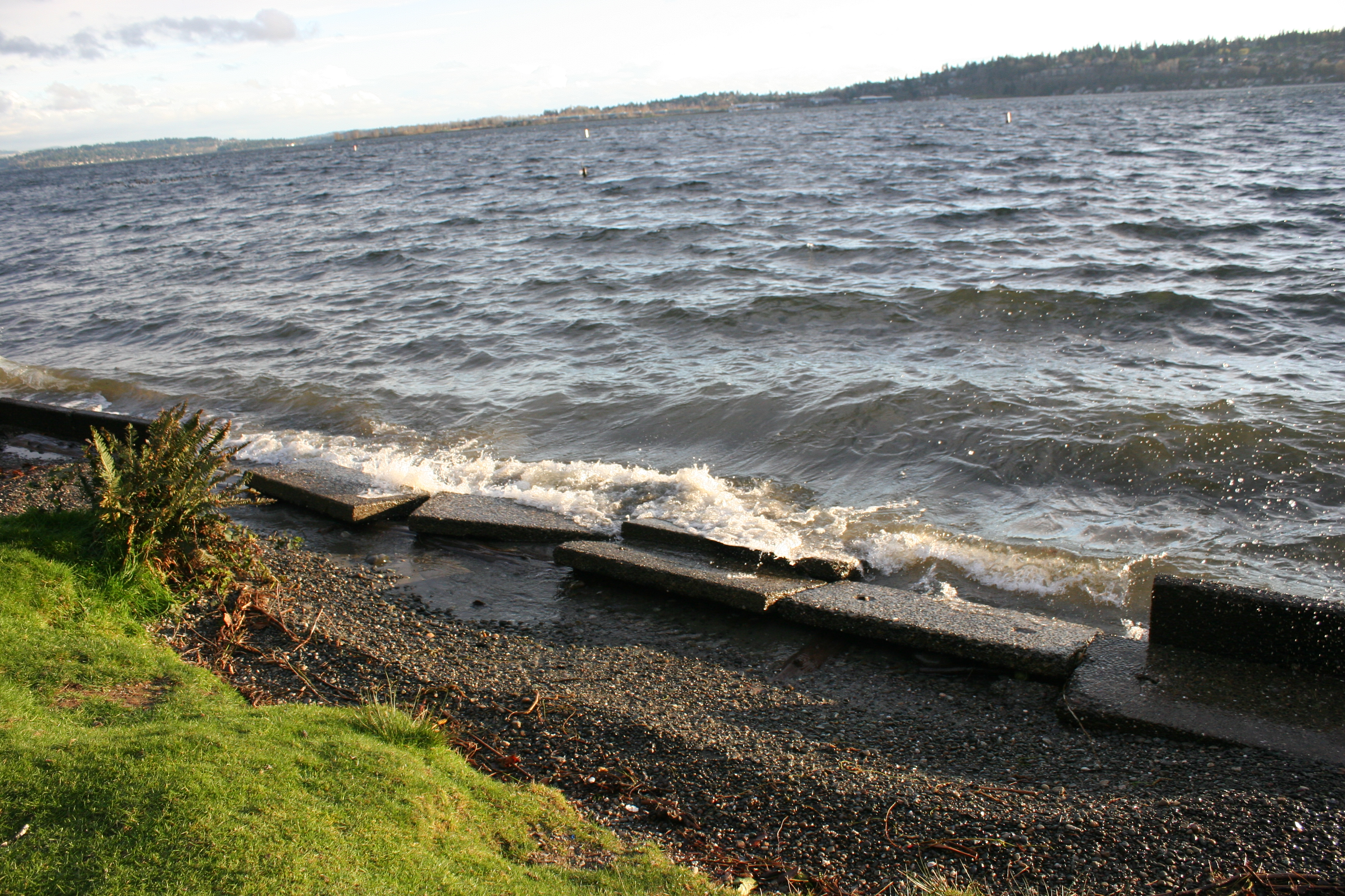 Kirkland Requests Finn Hill Input for Surface Water Master Plan