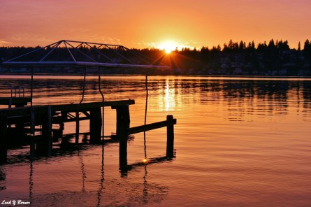 Denny Dock by Leah Berner