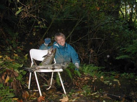 Ellen Haas at Denny Creek valley with two king salmon that "we were dragging from hatchery to pickup truck to banks of the creek to create nutrients for the Coho salmon we were spawning."