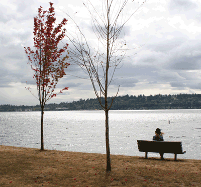 Expand your Environmental Knowledge: Free Online Courses