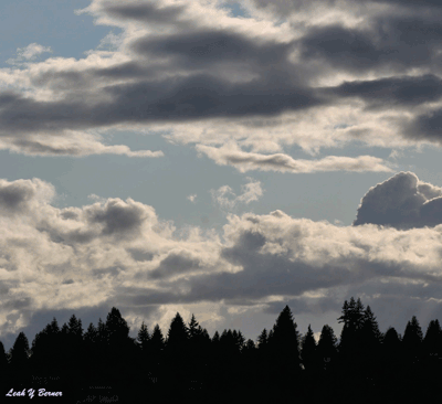 Rain gardens — New Event Date: October 13