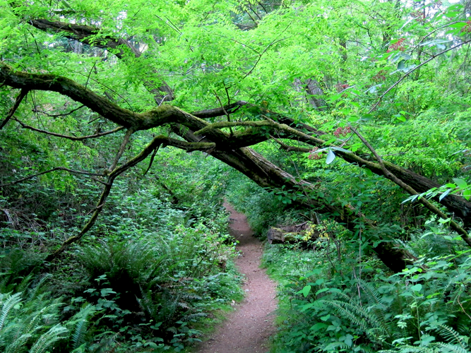 Recap Community Meeting March 22, 2017