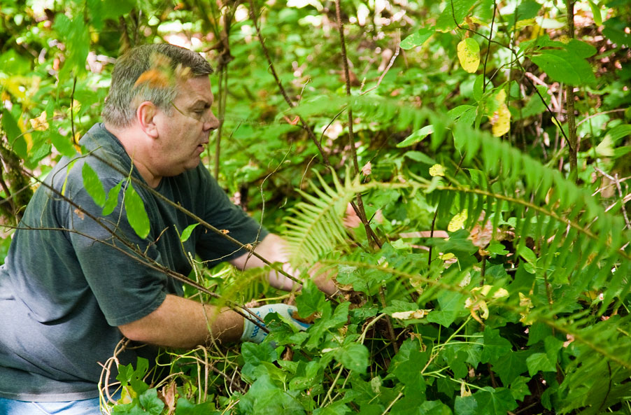 Juanita Heights Ivy Pull Aug 31