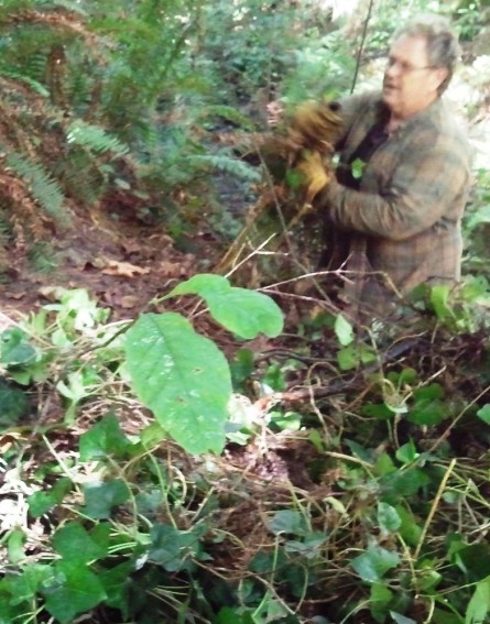 John Neighbor 8-31-13 Workparty