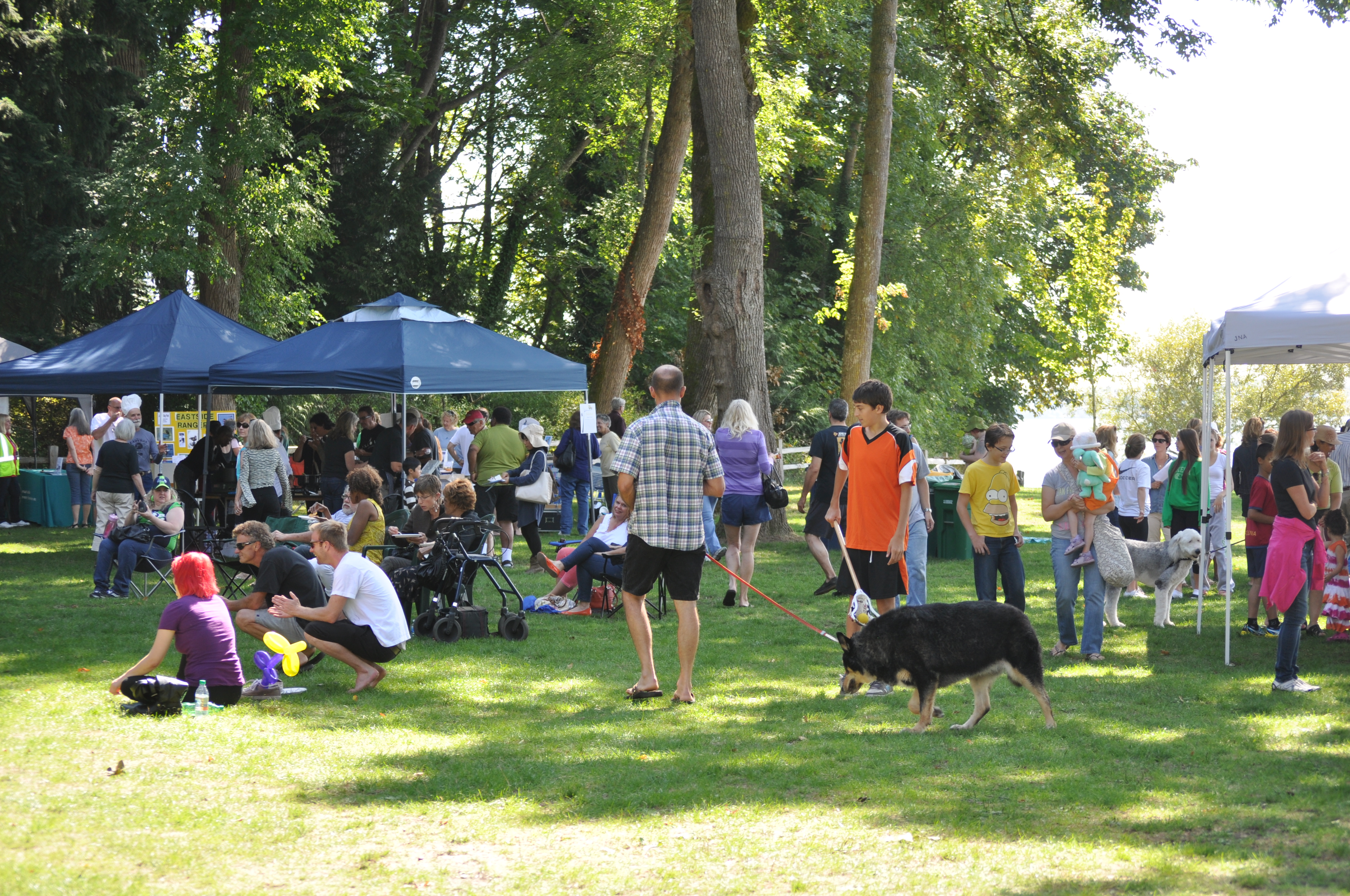 DennyFest 2013 – A Sunny Success!