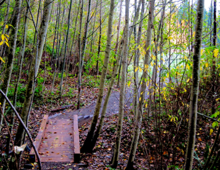 7-Big-Finn-environment-school-bridge-sm