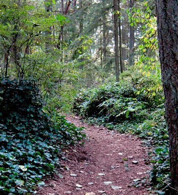 Kirkland Park Board Tours Juanita Heights Park