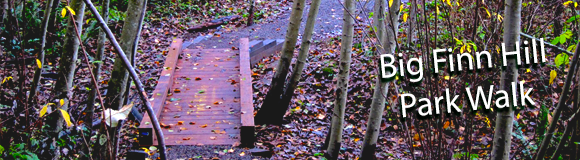 Time for the 2nd Group Park Walk