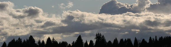 Finn Hill Announcements & Upcoming Events