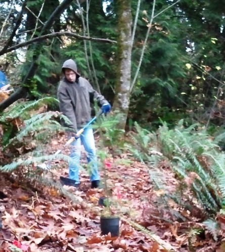 Juanita Heights Park Work Party