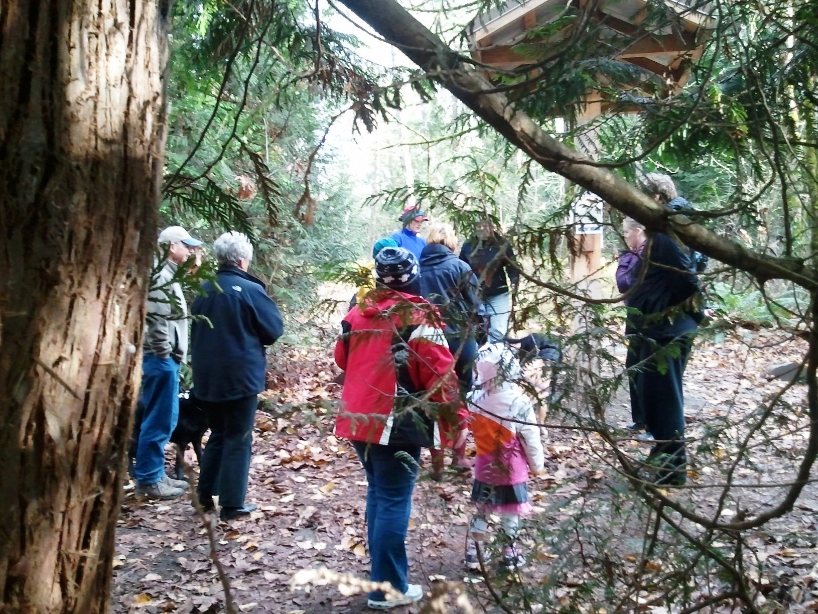 Walk in the Park: Big Finn Hill Park west side