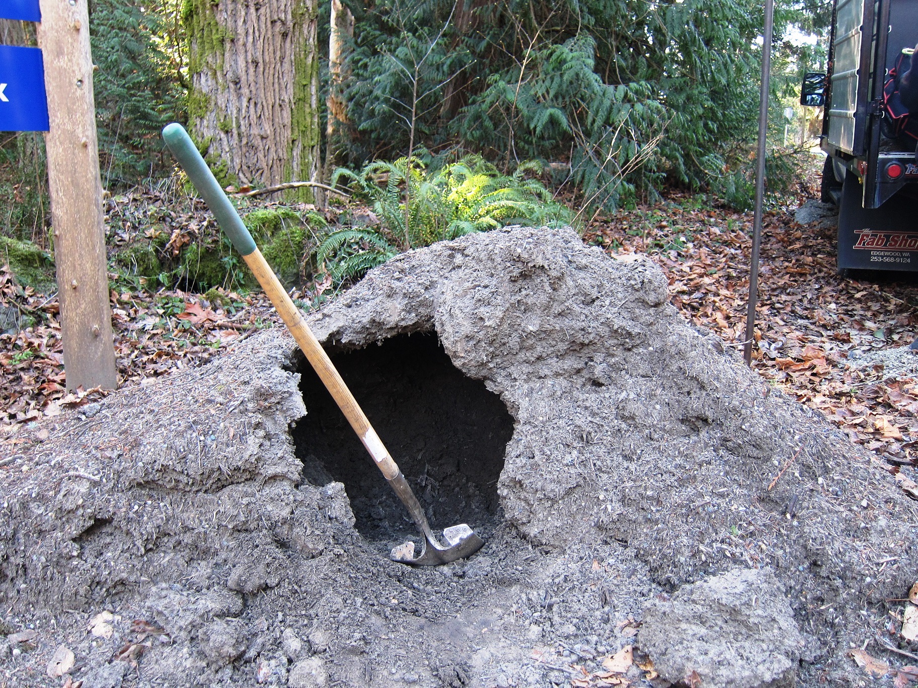 Volunteer in Big Finn Hill Park Sat. Dec 14