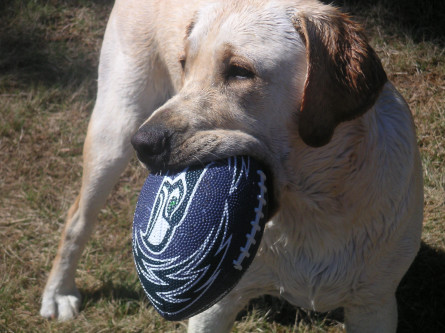 Heads up!  It's a lateral. 