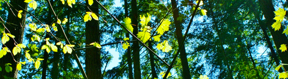 Meeting on Holmes Point Overly (HPO) Aug 24 Thursday at 7pm