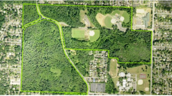 Future of Big Finn Hill Park Trails