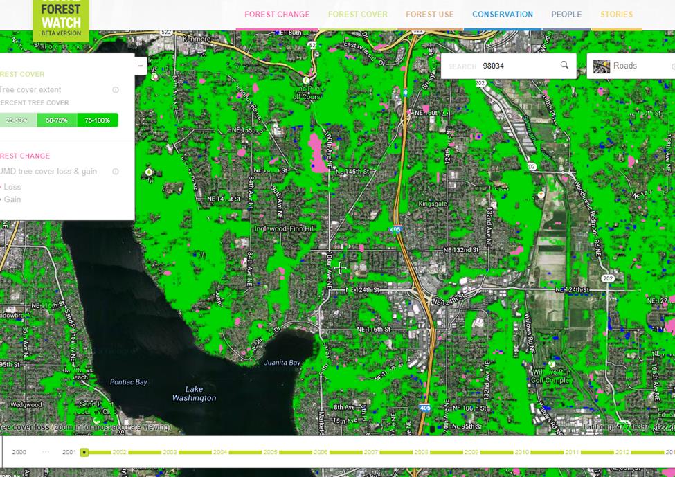 Tracking Forest Changes on Finn Hill