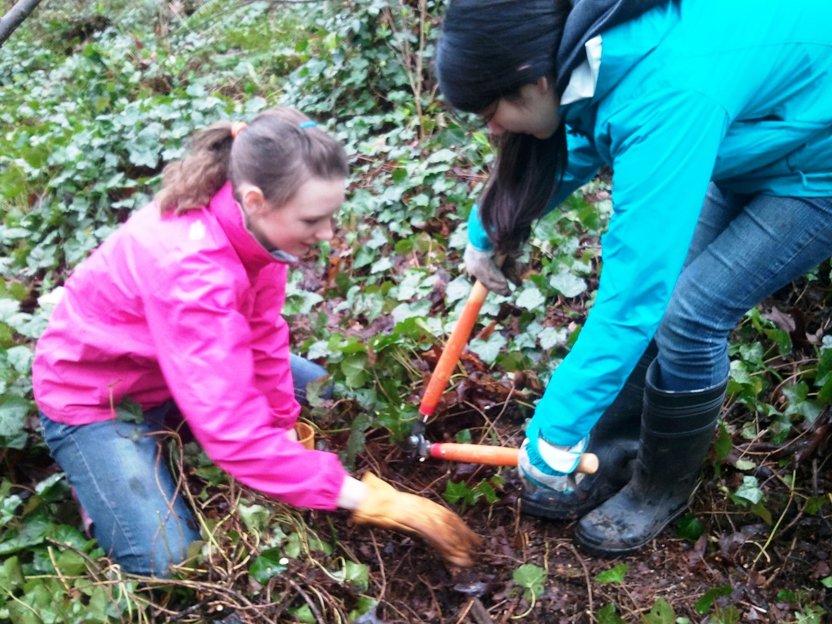 EAS Kids vs Blackberries in Juanita Heights Park