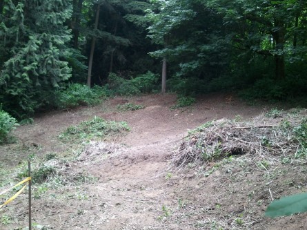 Juanita Heights Park EAS  remove approx 8K sq ft of blackberies June 10, 2014