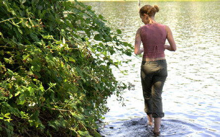 blackberry picking in water