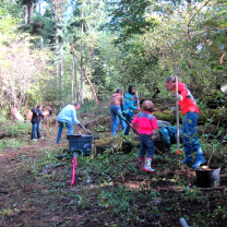 Juanita Woodlands 2014 work party