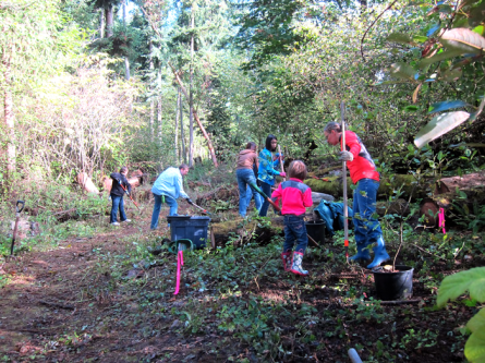 Juanita Woodlands 2014 work party