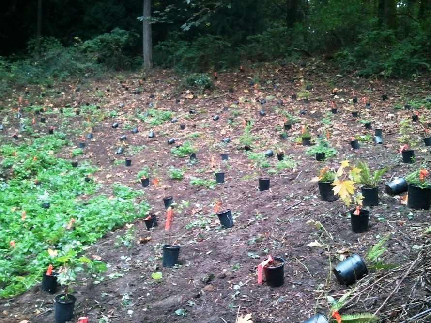 EARTHCore3 october 2014