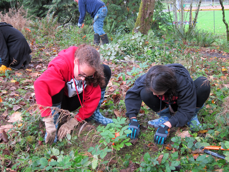 Volunteer in OO Denny Sat Nov 18