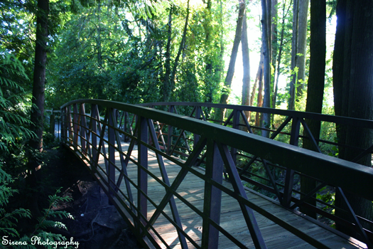 Trail Guides: Time to Head to the Trails