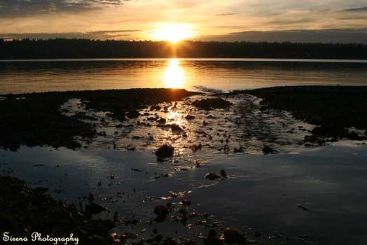 The Art of Photography