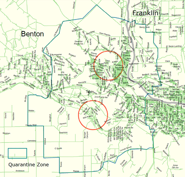 For Finn Hill Backyard Chicken Coops