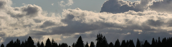 Neighborhood Climate Action Initiative