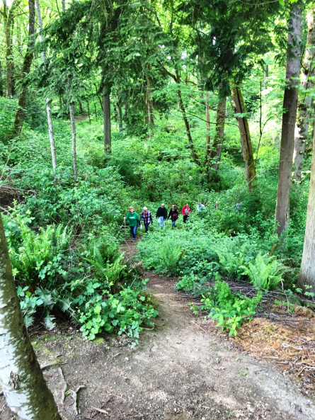 King County Conservation Trust Grant Committee 2016 tour of Juanita Heights expansion area.
