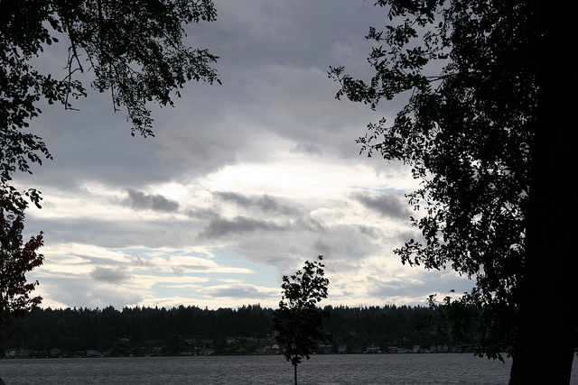 Holmes Point residents: Tell the Planning Commission what you think about preserving trees and downzoning parts of the neighborhood