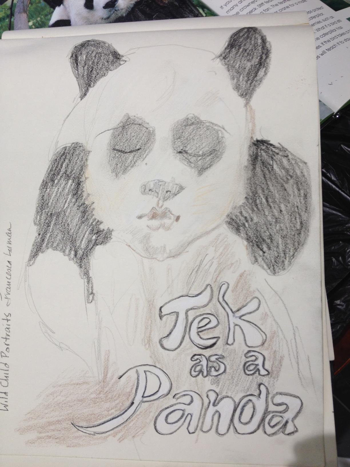 Wild Child Portraits at DennyFest