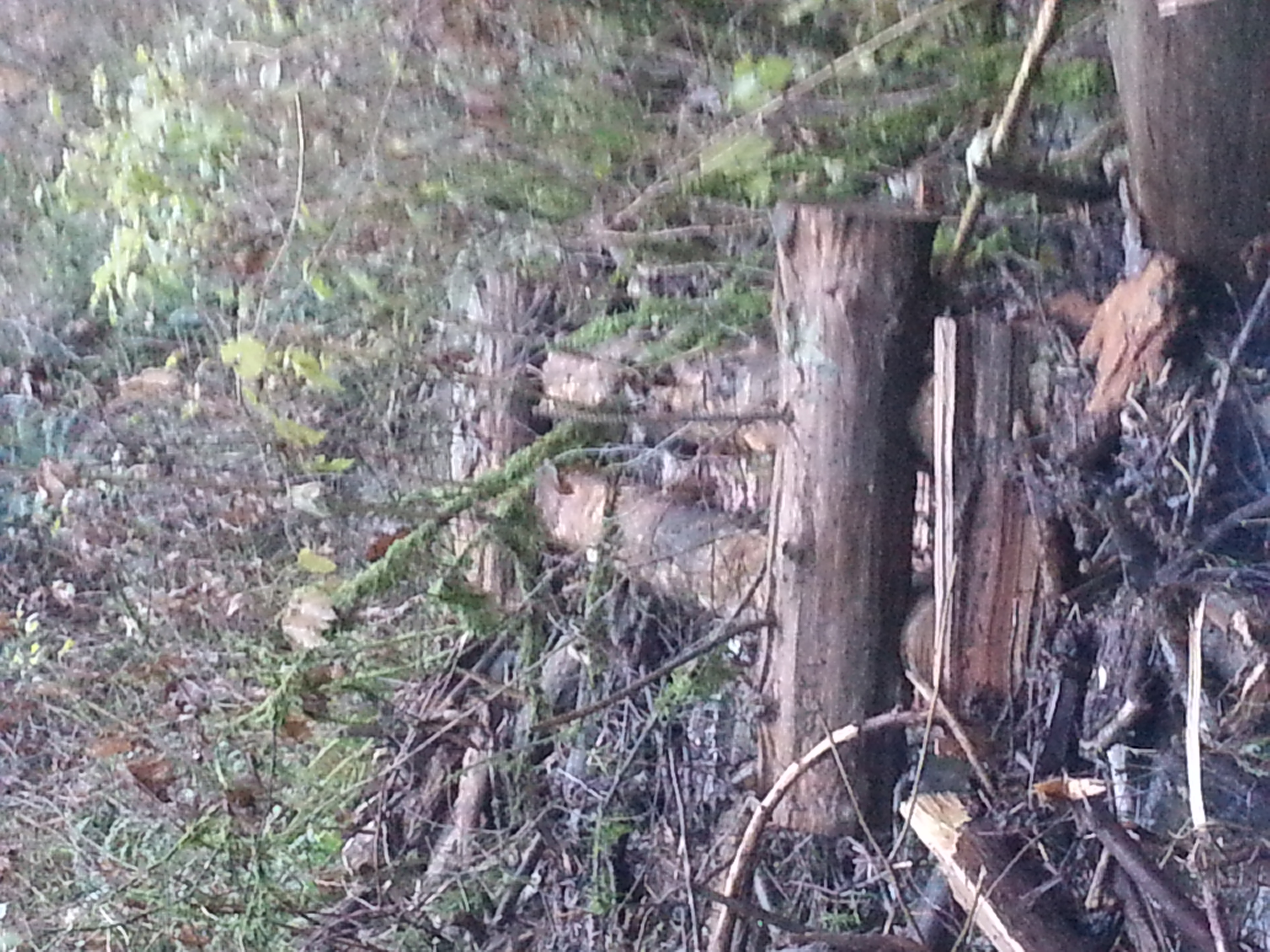 Holmes Point Overlay April 27 Meeting