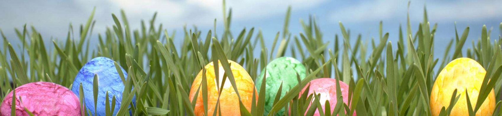 FHNA Egg Hunt Sat. April 8