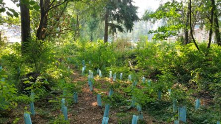 IPC stream restoration progress