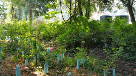 IPC stream restoration progress